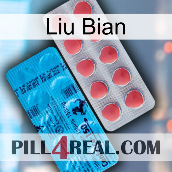 Liu Bian new14.jpg